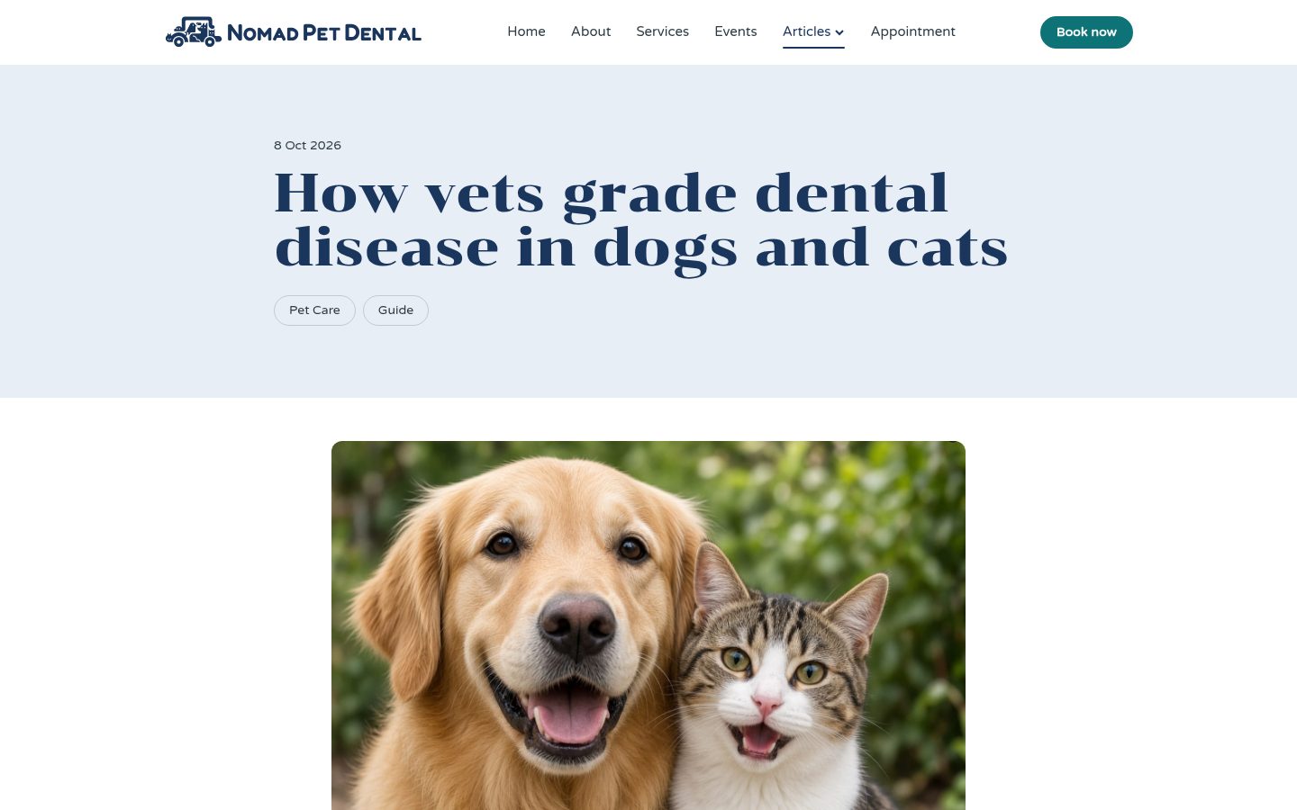 Article: How vets grade dental disease in dogs and cats, with a photo of a golden retriever and a tabby cat